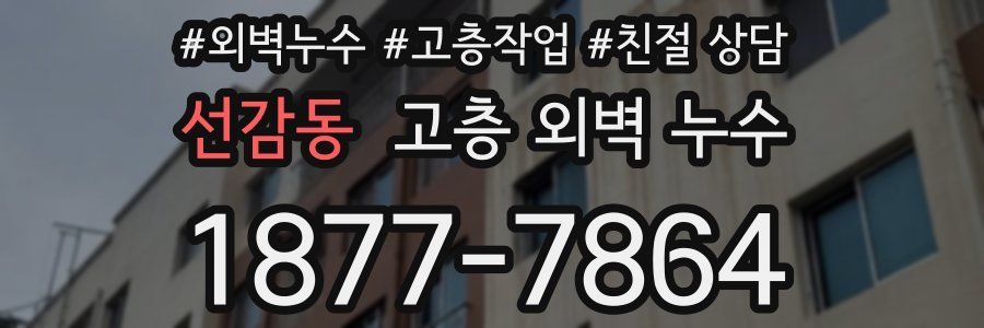 선감동 고층 외벽 누수