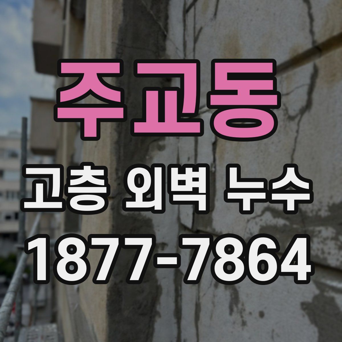 주교동 고층 외벽 누수