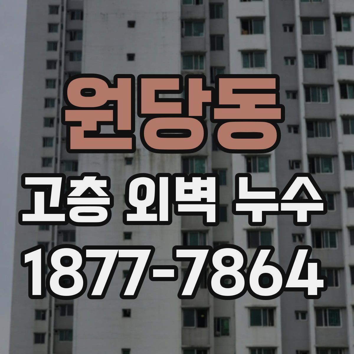 원당동 고층 외벽 누수 의심 신고가 접수되었을 때의 절차