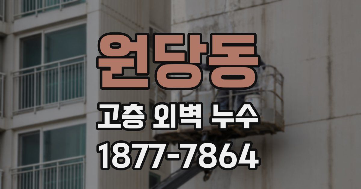 원당동 고층 외벽 누수
