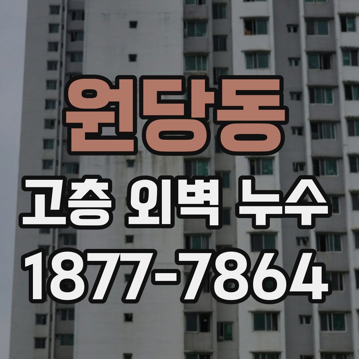 원당동 고층 외벽 누수