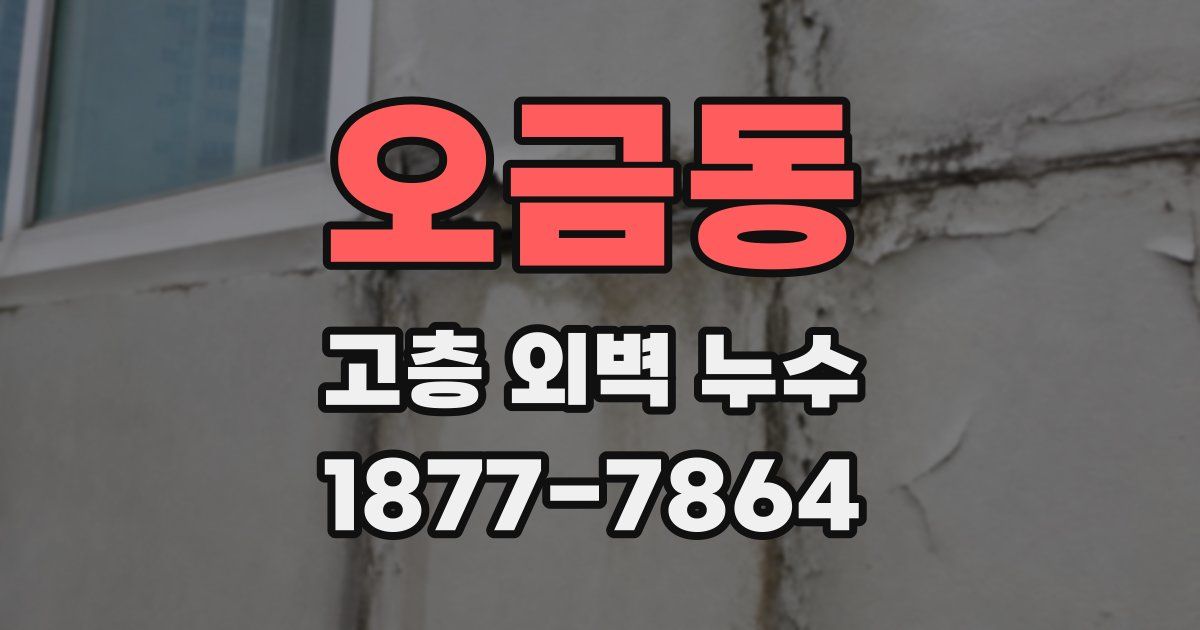 오금동 고층 외벽 누수