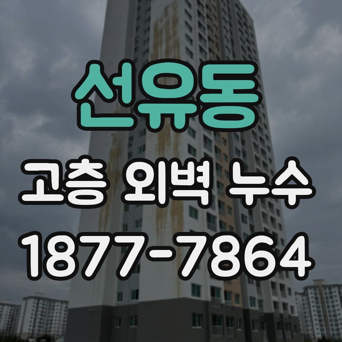 선유동 고층 외벽 누수