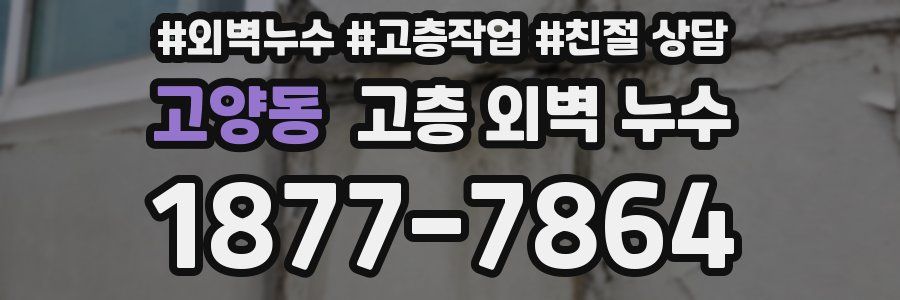고양동 고층 외벽 누수