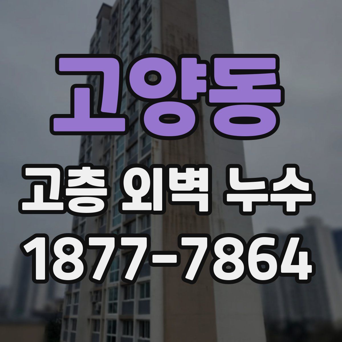 고양동 고층 외벽 누수