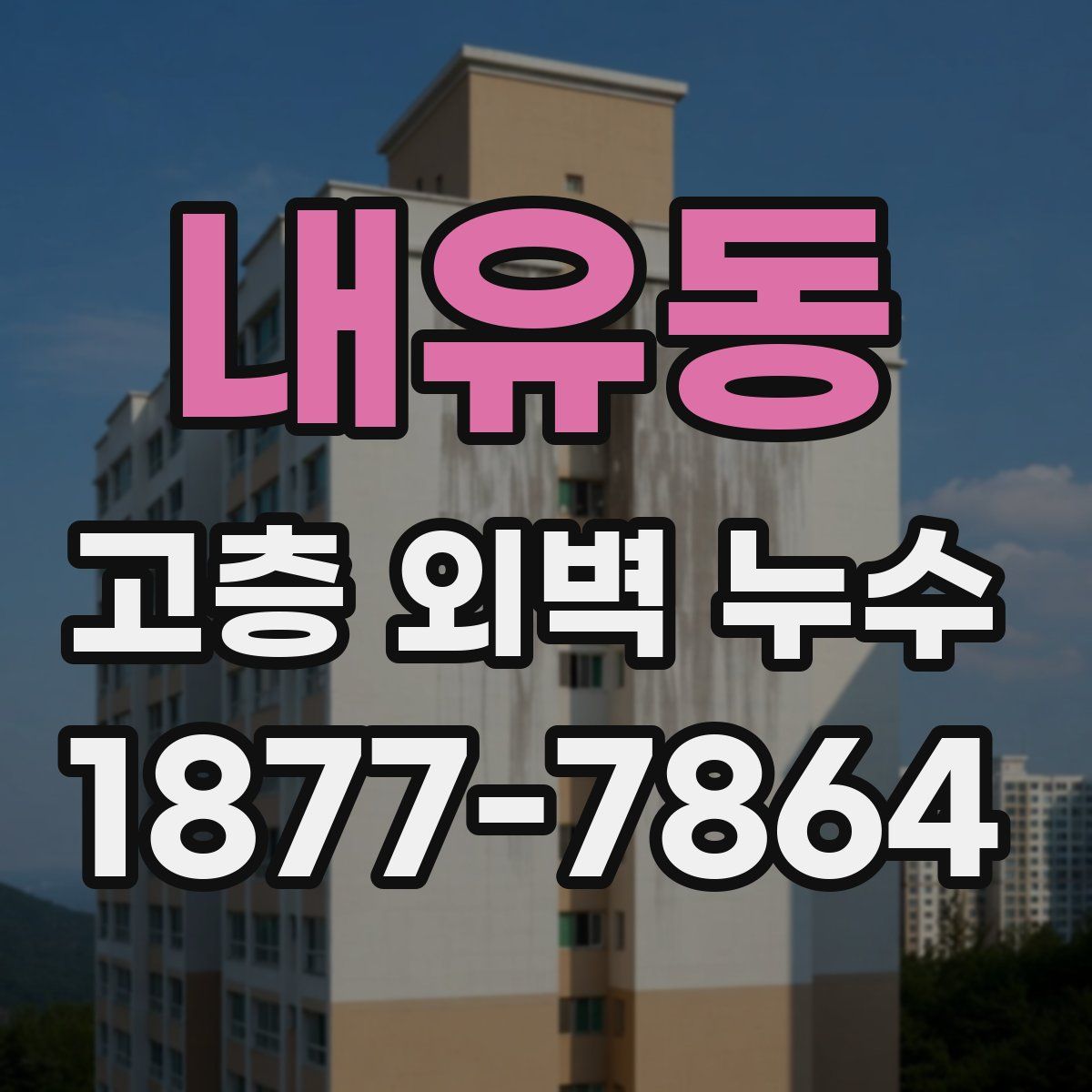 내유동 고층 외벽 누수