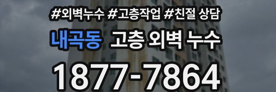 내곡동 고층 외벽 누수