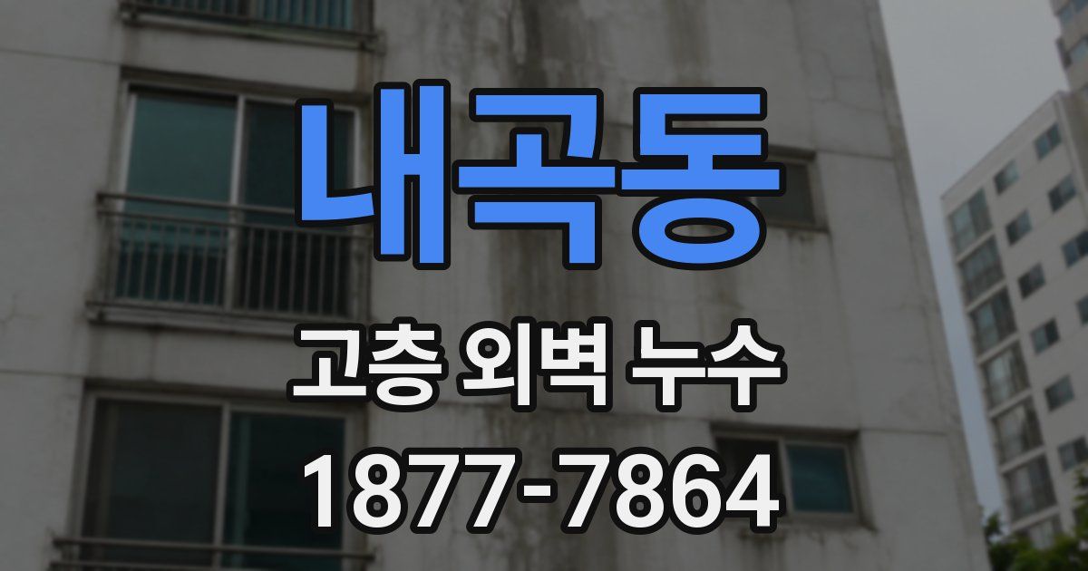 내곡동 고층 외벽 누수