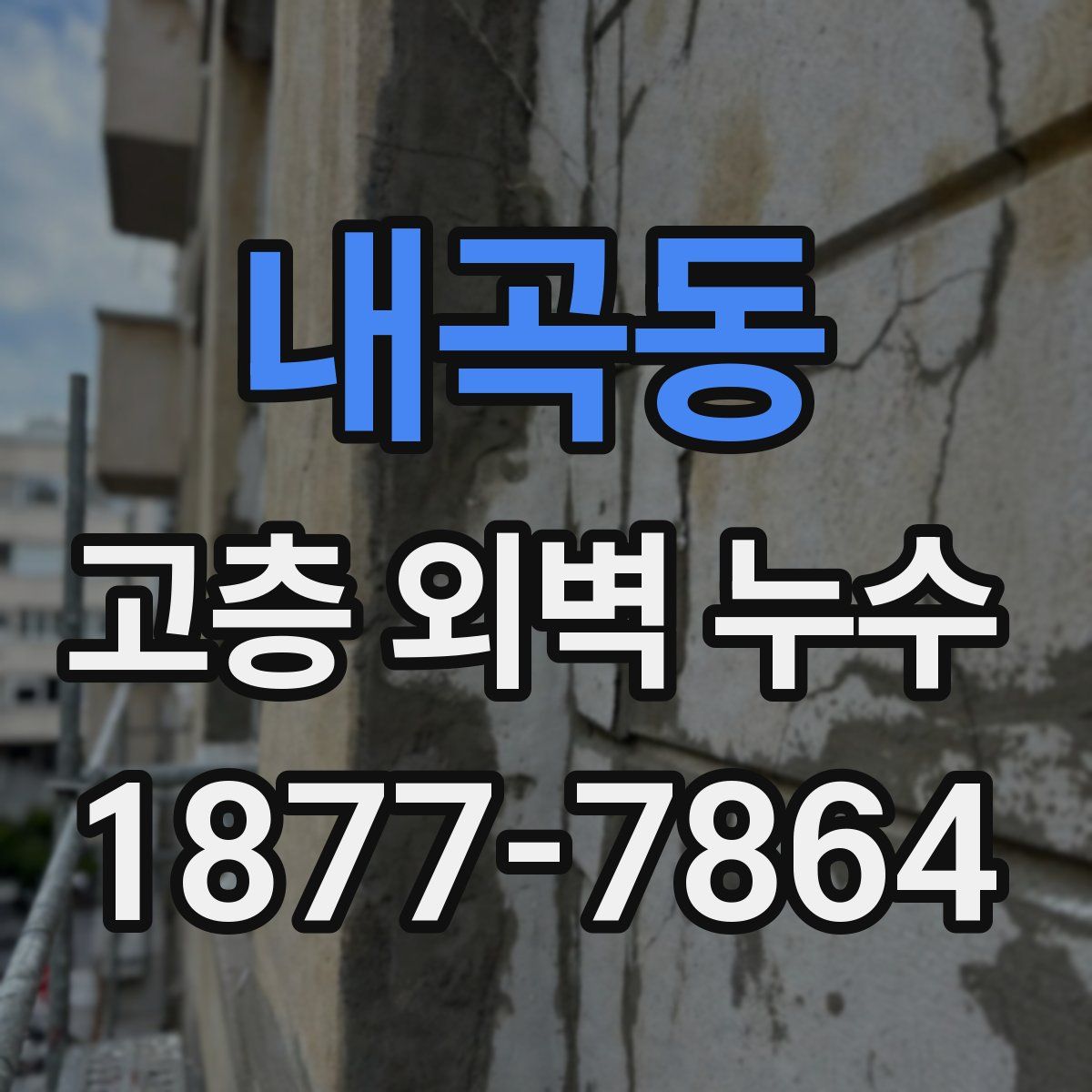내곡동 고층 외벽 누수