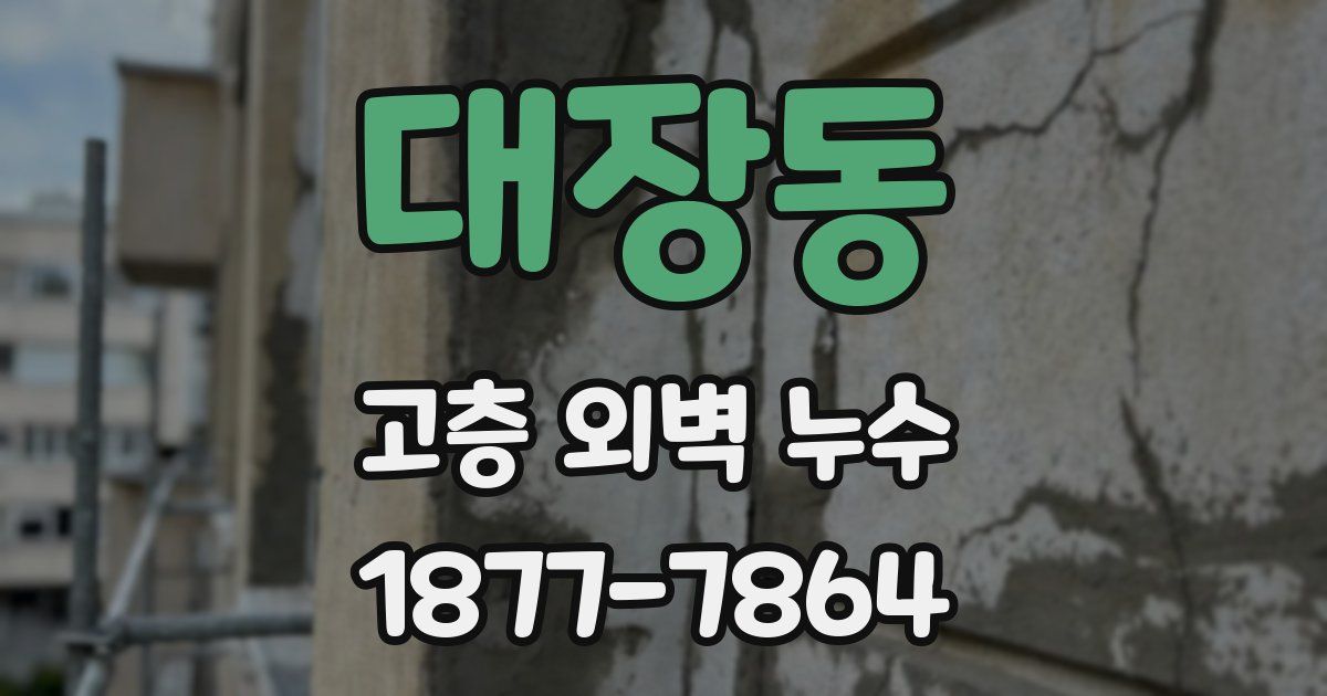 대장동 고층 외벽 누수