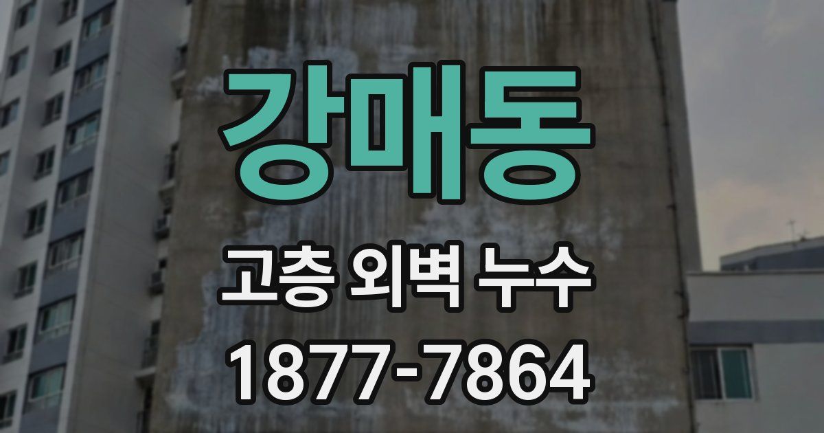 강매동 고층 외벽 누수