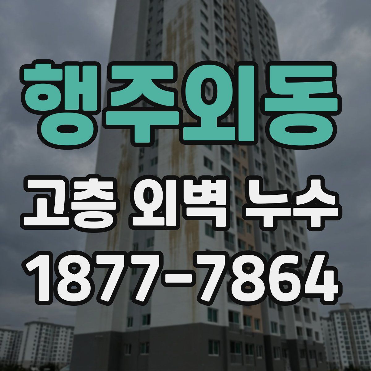 행주외동 고층 외벽 누수