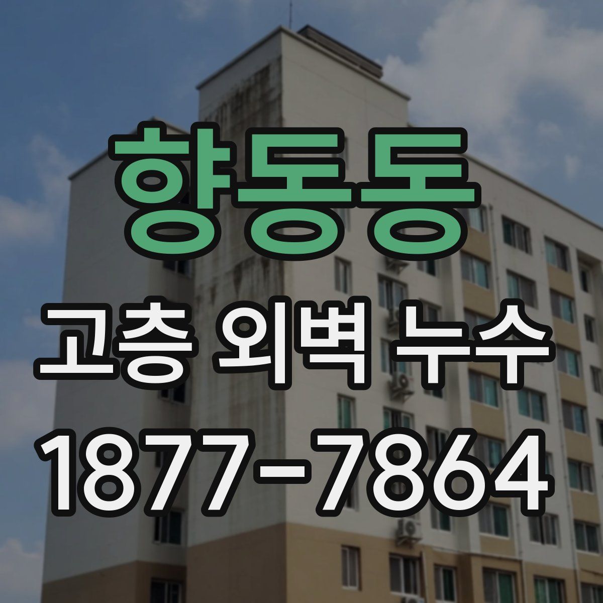 향동동 고층 외벽 누수