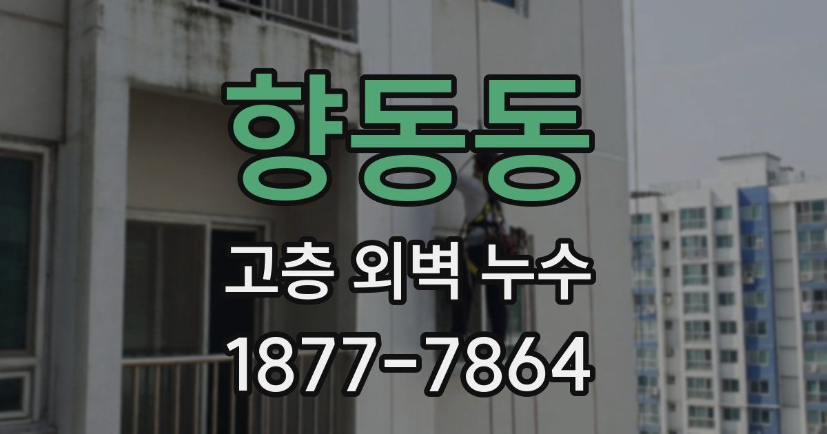 향동동 고층 외벽 누수