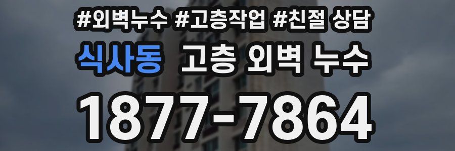 식사동 고층 외벽 누수