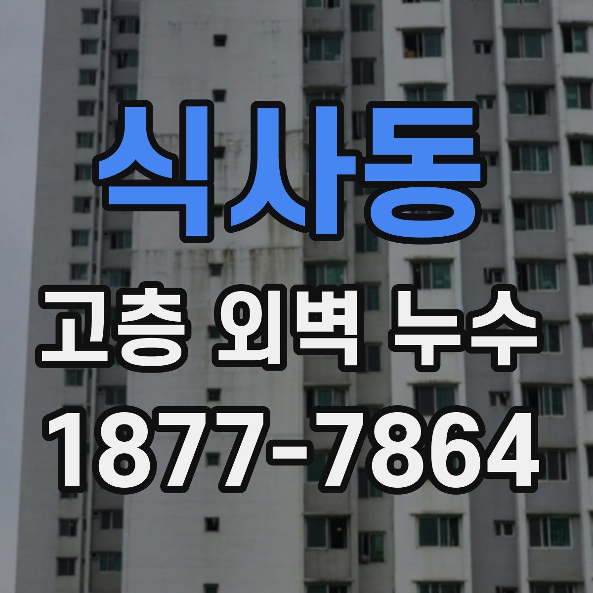 식사동 고층 외벽 누수