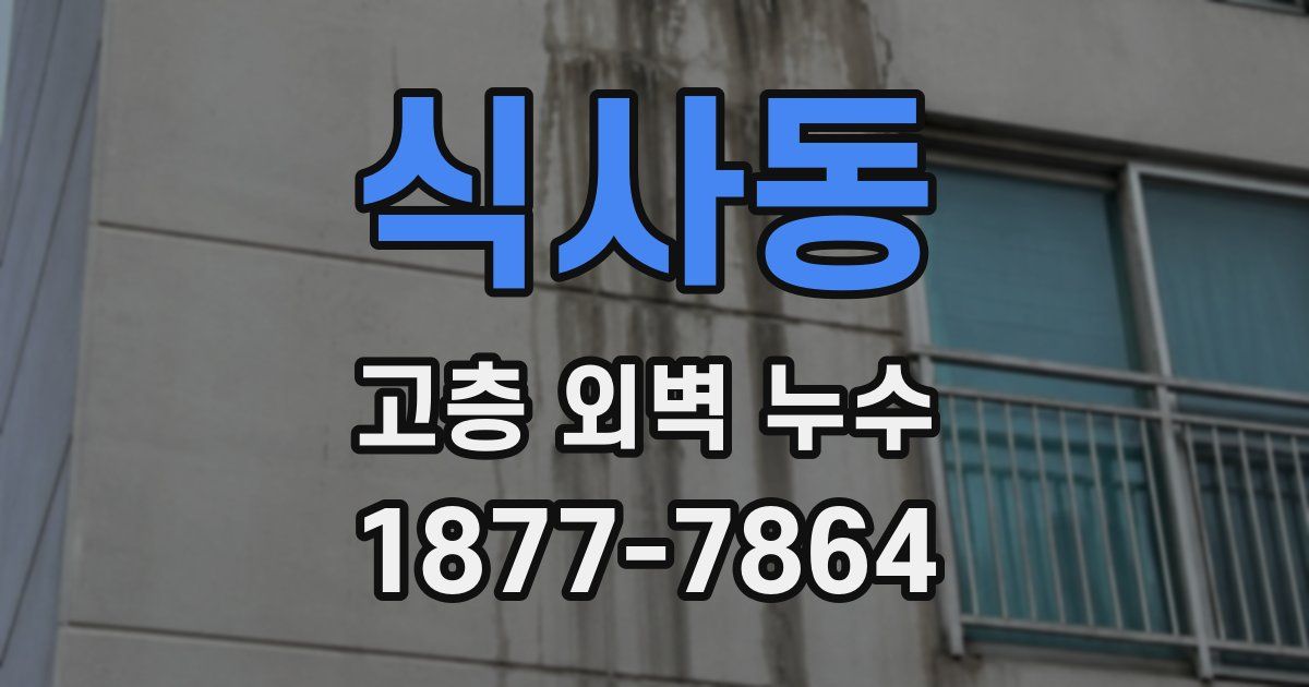 식사동 고층 외벽 누수