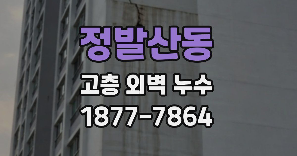 정발산동 고층 외벽 누수