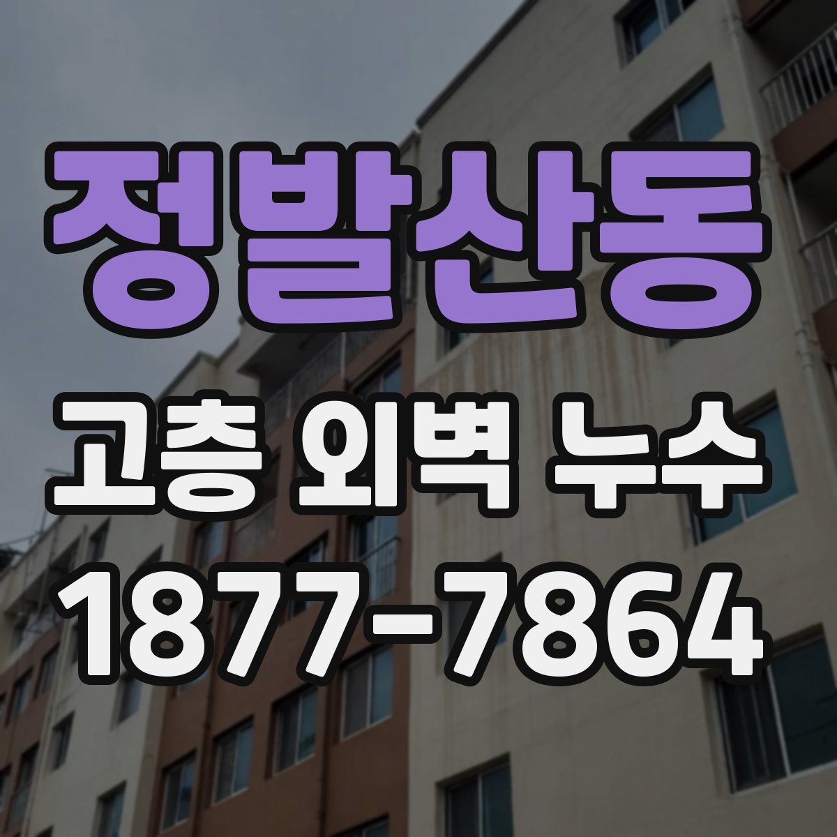 정발산동 고층 외벽 누수