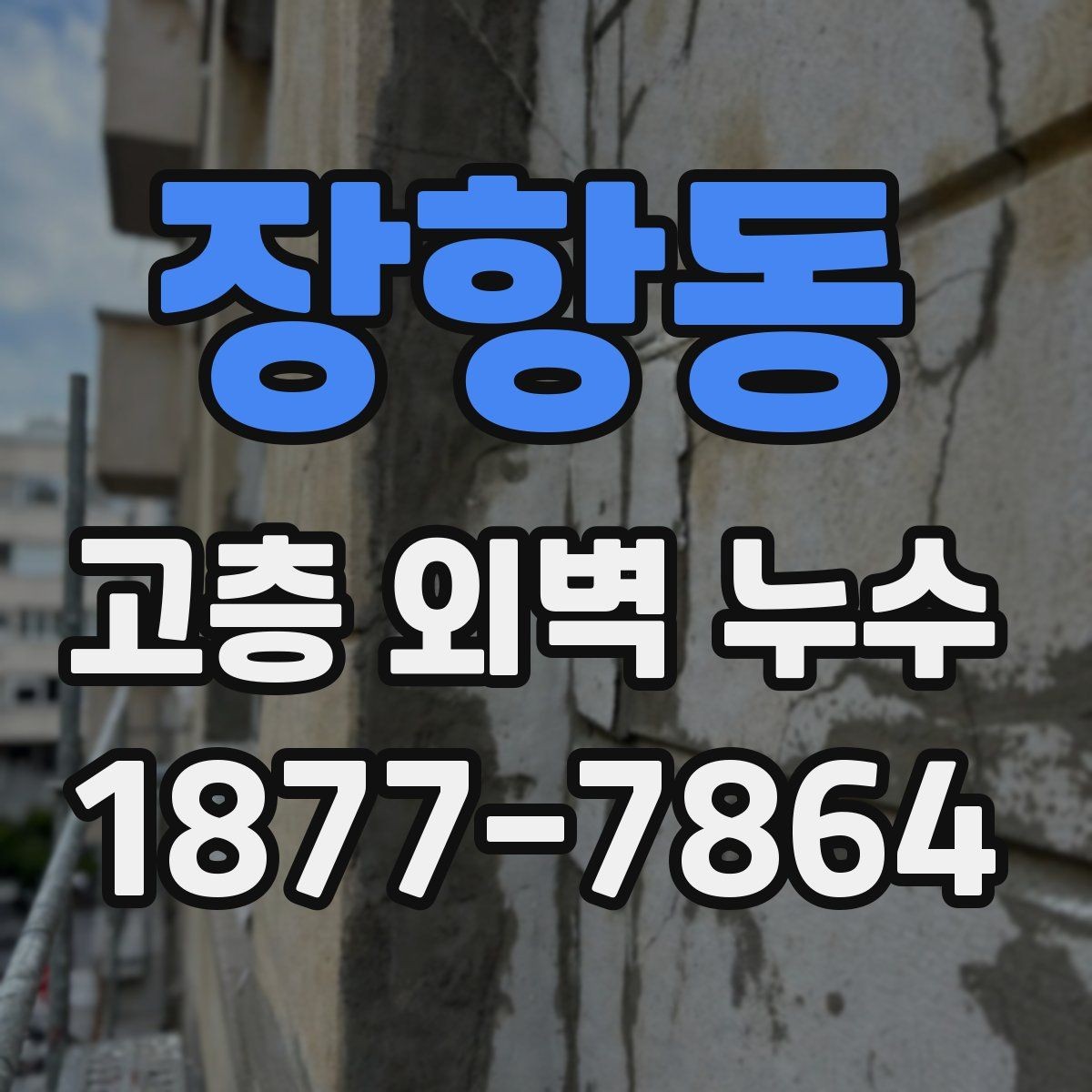 장항동 고층 외벽 누수 소음과 결로와 구분하는 방법