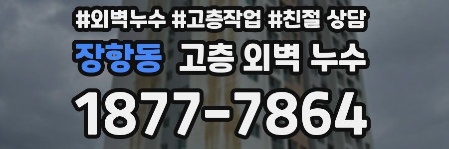 장항동 고층 외벽 누수
