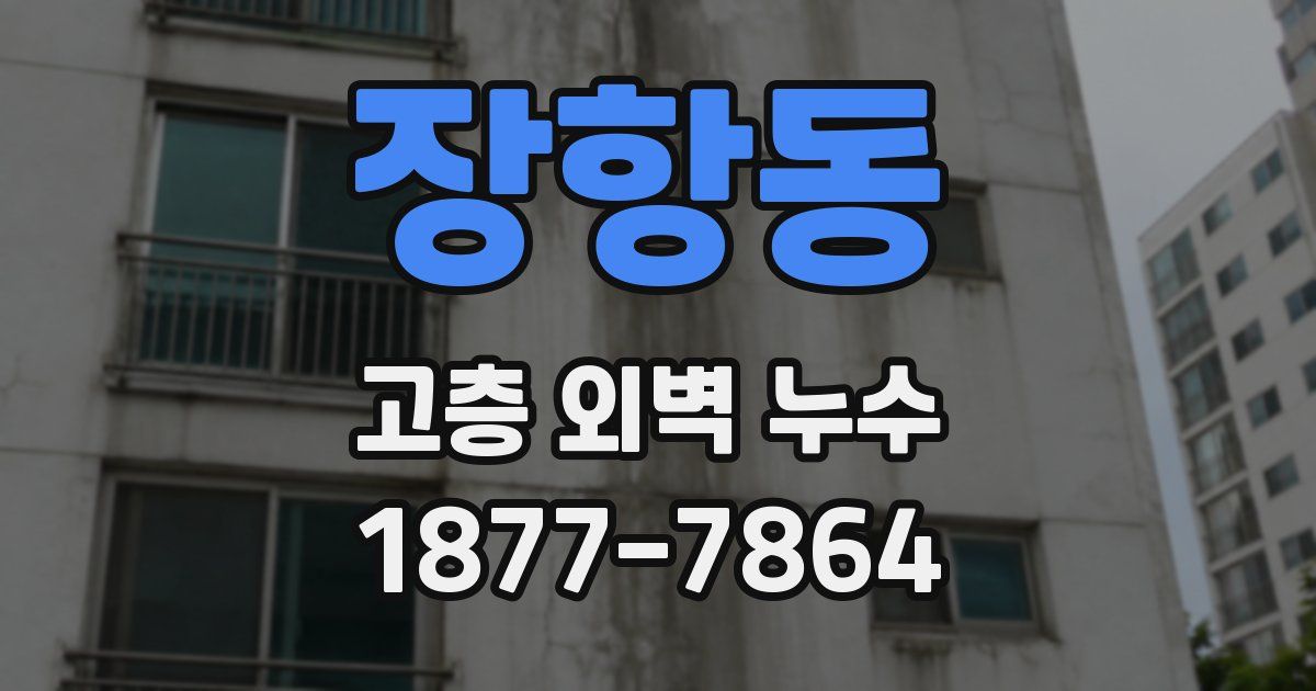 장항동 고층 외벽 누수