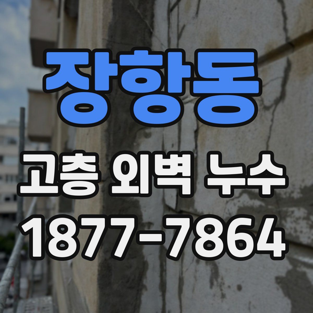 장항동 고층 외벽 누수