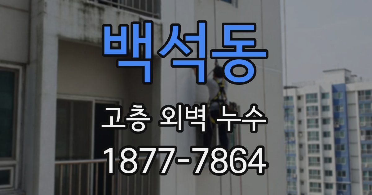 백석동 고층 외벽 누수