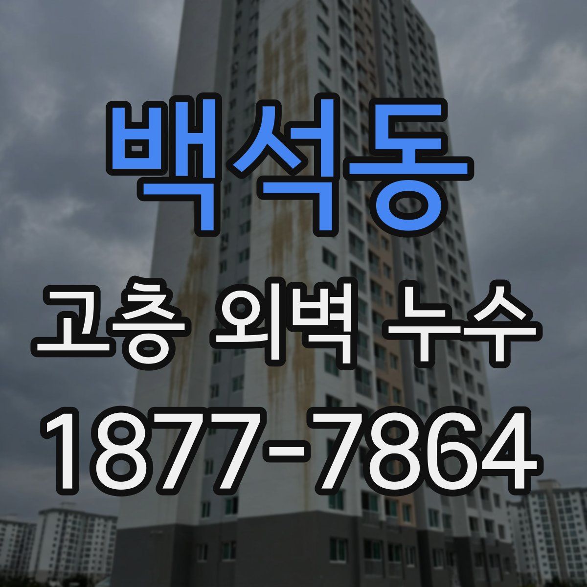 백석동 고층 외벽 누수