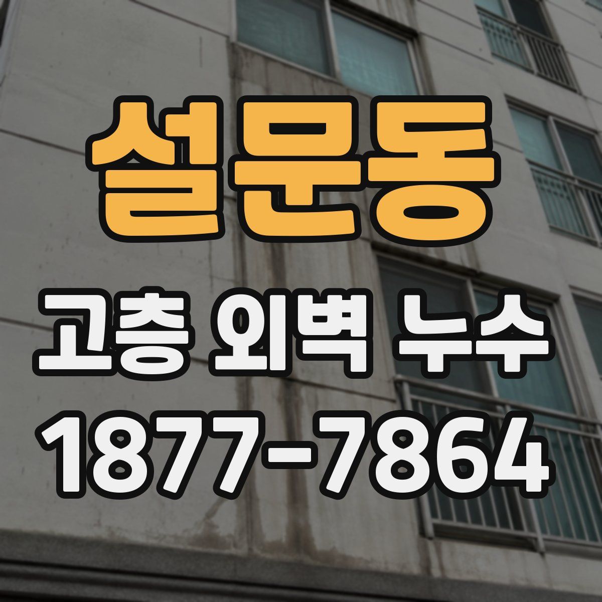 설문동 고층 외벽 누수