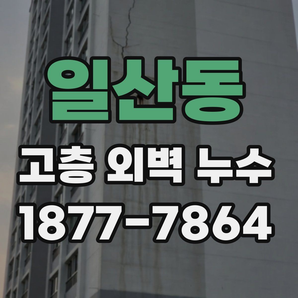 일산동 고층 외벽 누수 현장별로 다른 접근 방법
