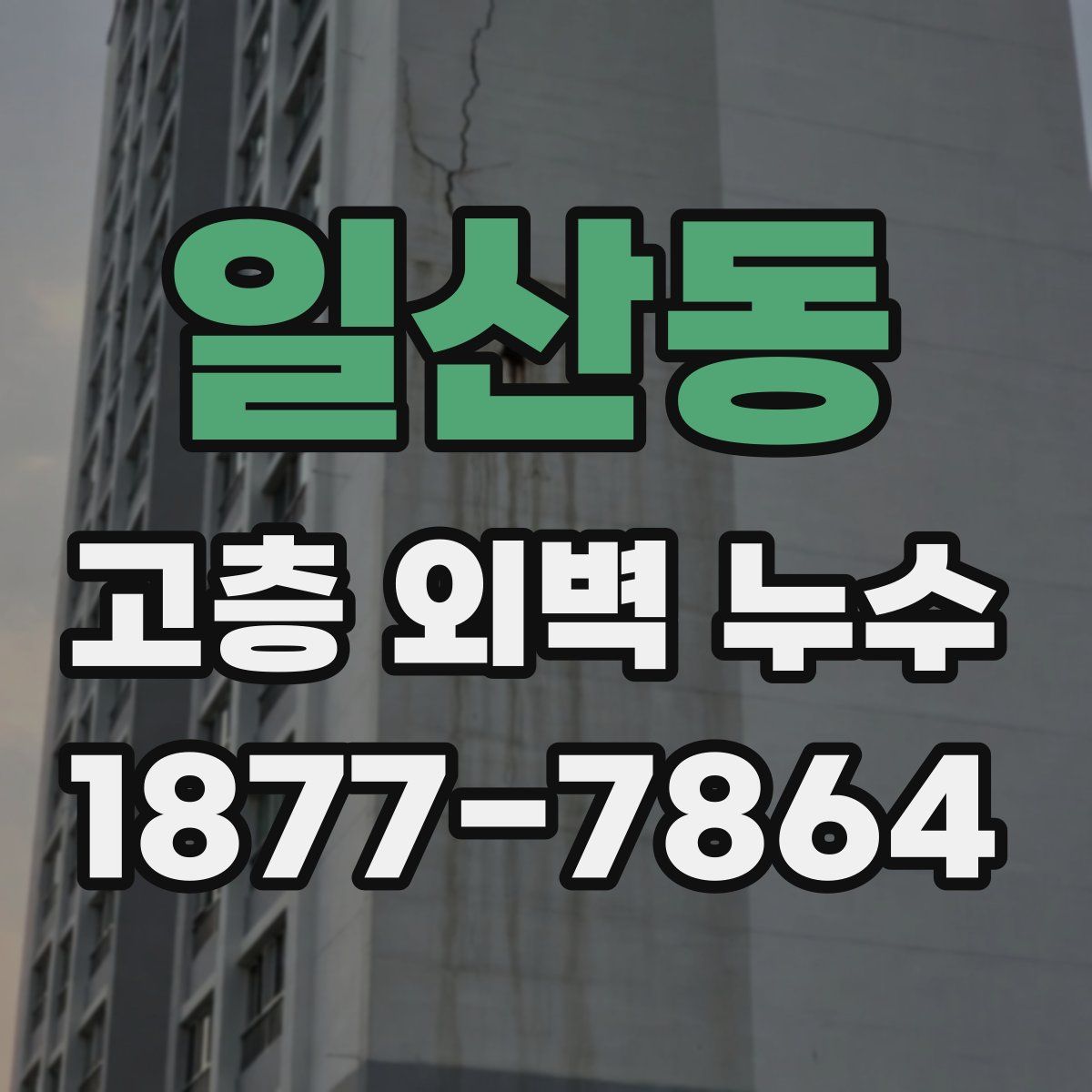 일산동 고층 외벽 누수