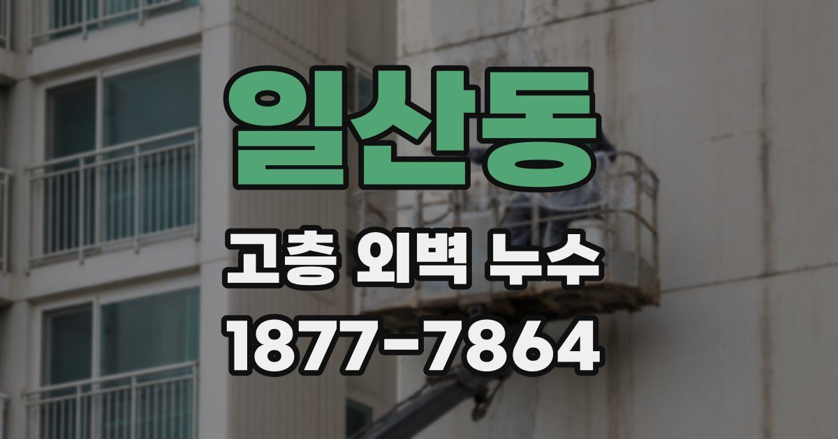 일산동 고층 외벽 누수