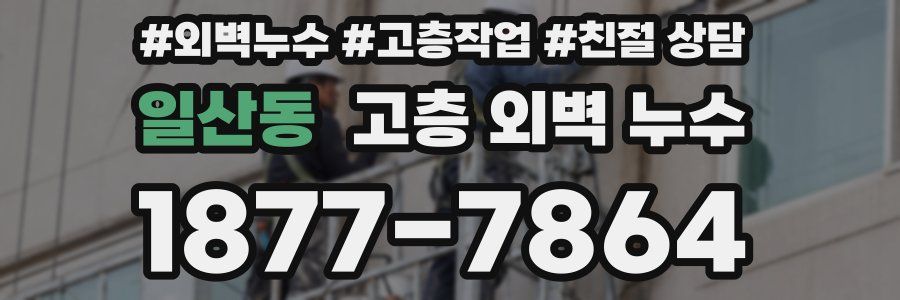 일산동 고층 외벽 누수