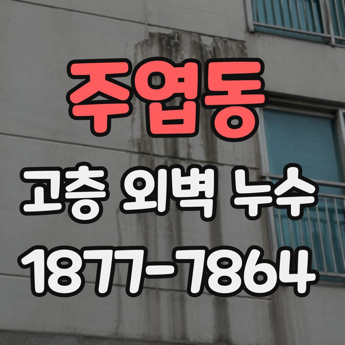 주엽동 고층 외벽 누수