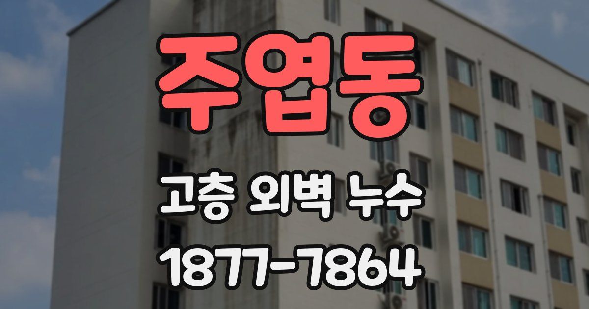 주엽동 고층 외벽 누수