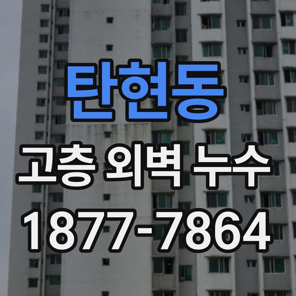 탄현동 고층 외벽 누수 발생 후 피해 확산을 막는 절차