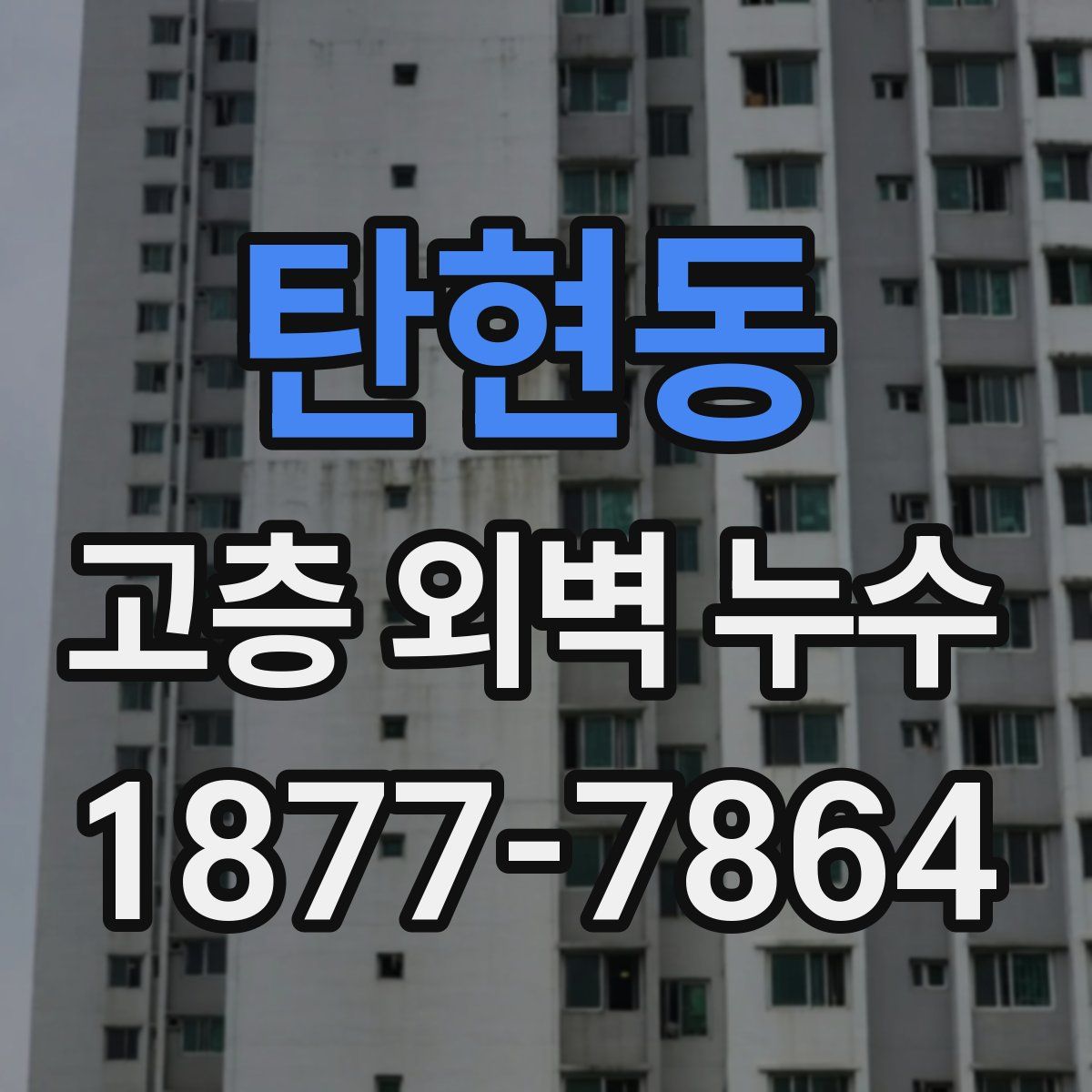 탄현동 고층 외벽 누수