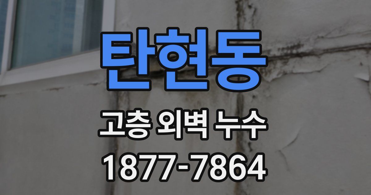 탄현동 고층 외벽 누수