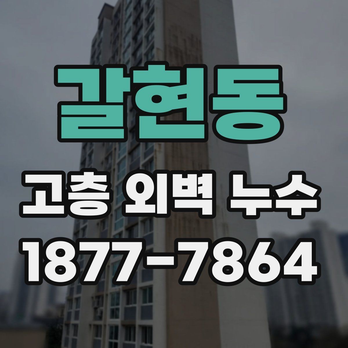 갈현동 고층 외벽 누수 보수 후 재점검이 필요한 이유