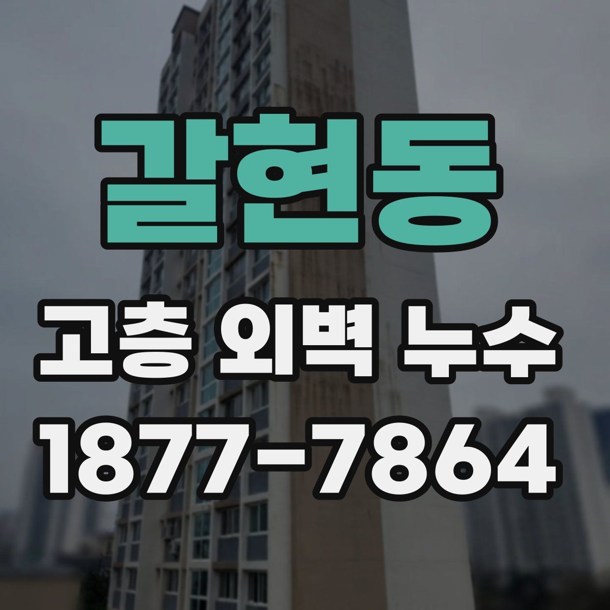 갈현동 고층 외벽 누수