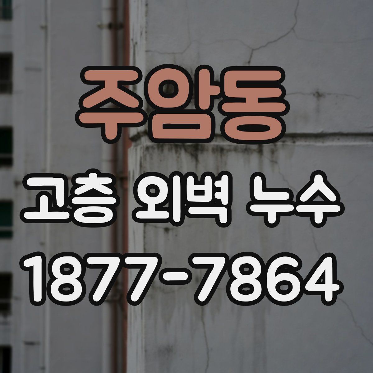 주암동 고층 외벽 누수 점검을 맡길 때 보는 기준