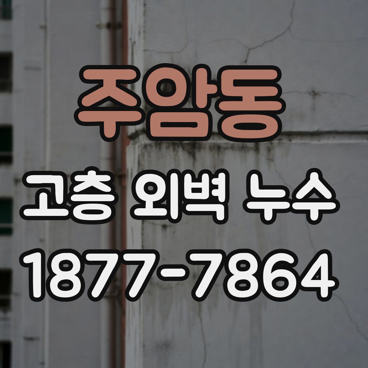 주암동 고층 외벽 누수
