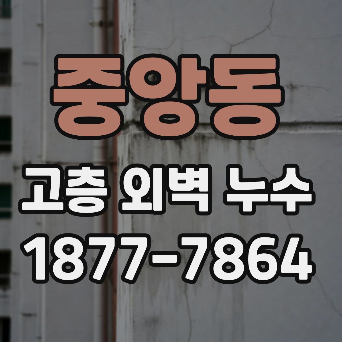 중앙동 고층 외벽 누수
