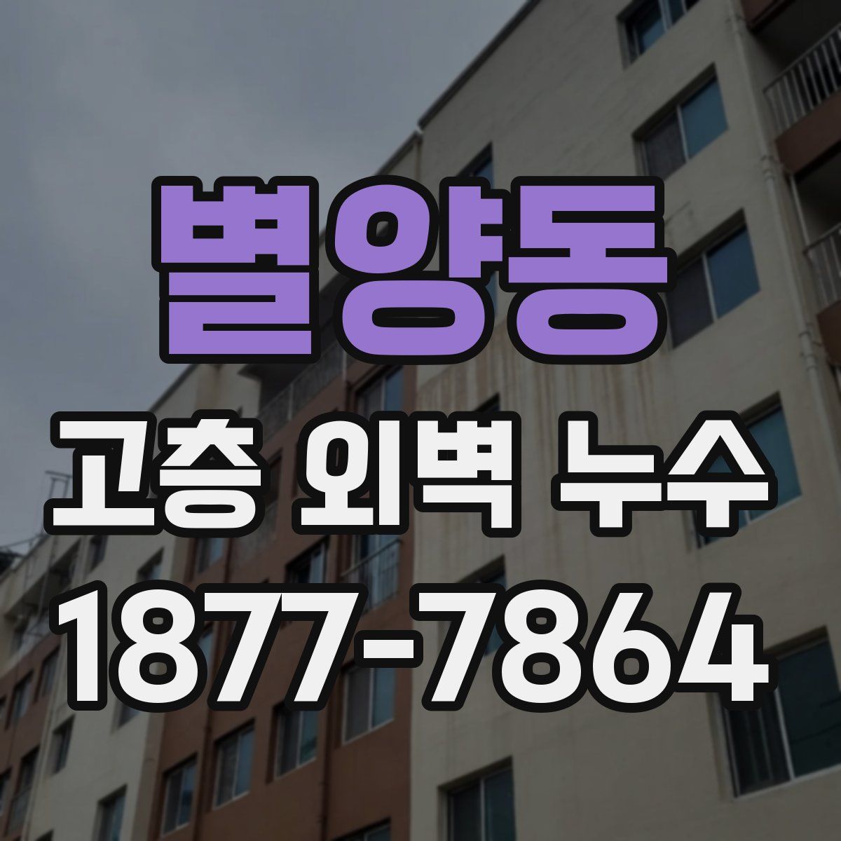 별양동 고층 외벽 누수