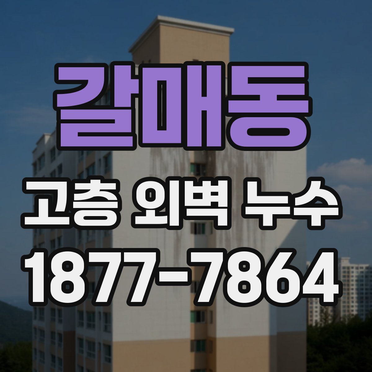 갈매동 고층 외벽 누수