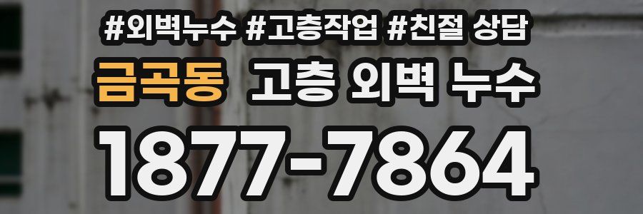 금곡동 고층 외벽 누수