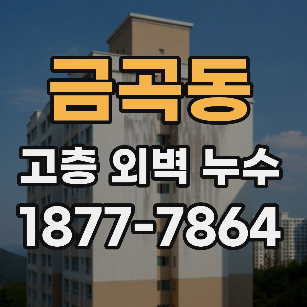 금곡동 고층 외벽 누수
