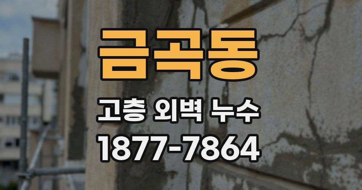 금곡동 고층 외벽 누수