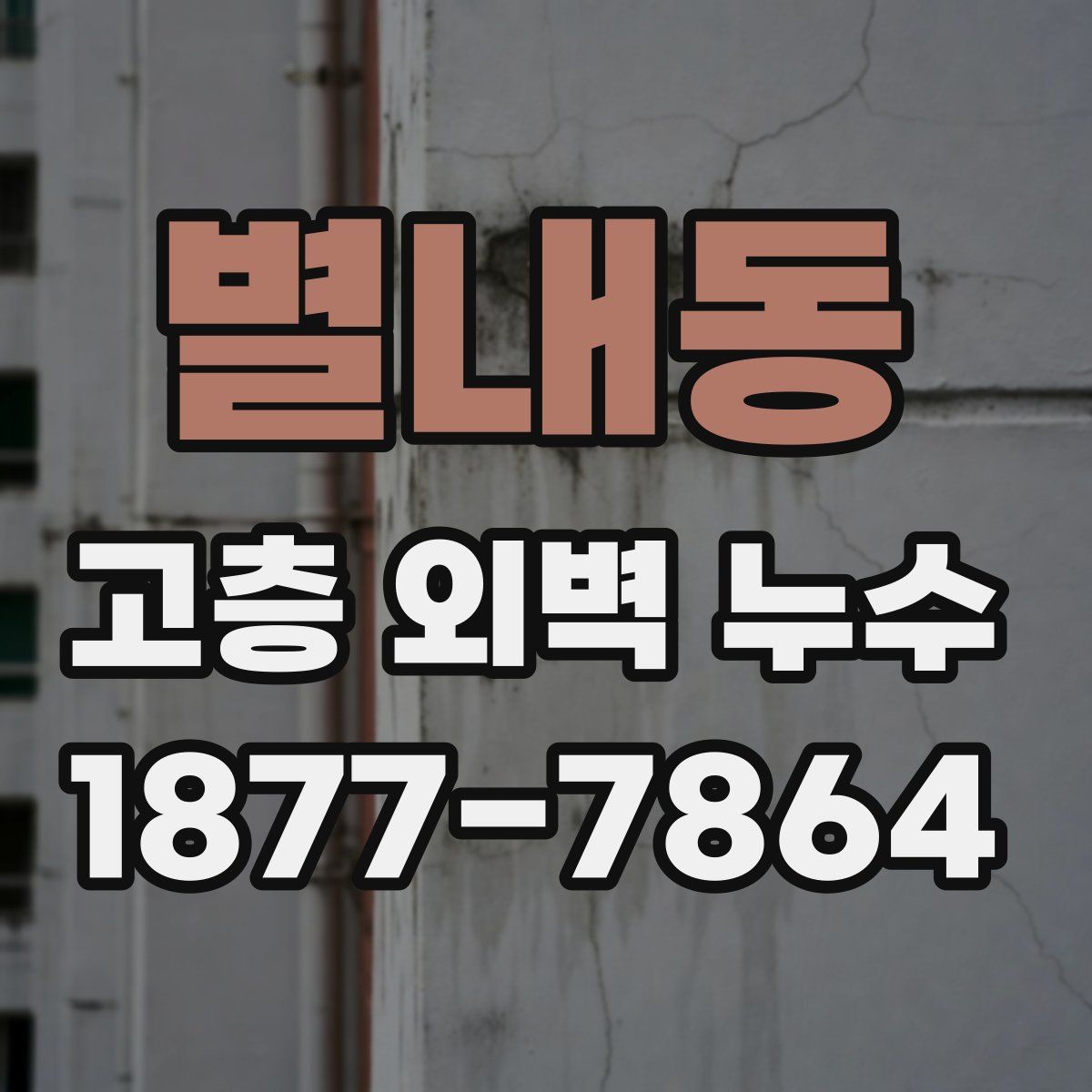 별내동 고층 외벽 누수